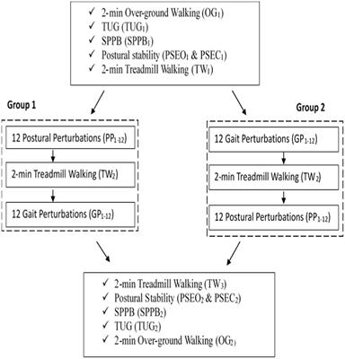 Effects of protective step training on proactive and reactive motor adaptations in Parkinson’s disease patients